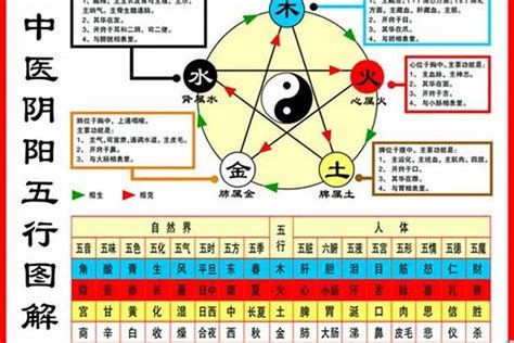 1984年五行属什么|1984年属鼠的是什么命，84年出生的鼠五行属什么